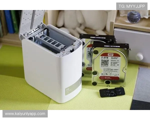 详细解析开云网址官方网站的功能特点与使用指南，让您更好地体验官方服务